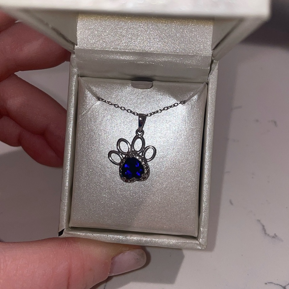 Radiant Gem Sterling Silver Sapphire Paw Print Necklace